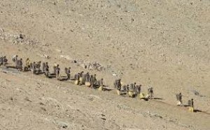 पैंगोंग लेक से पीछे हट रही चीनी सेना, टैंट उखाड़ रहे क्करु्र जवान, टैंक ले जा रहे पीछे