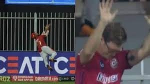 निकोलस पूरन ने 'सुपरमैन' बन बचाया छक्का, महान जोंटी रोड्स ने सम्मान में झुकाया सिर