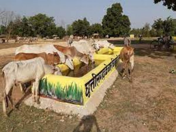 राज्य के 2029 गौठान हुए स्वावलंबी