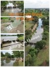किसानों के लिए नरवा योजना बनी वरदान