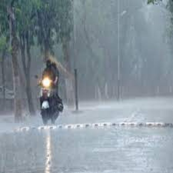 महीने भर में हुई इतनी बारिश : 01 जून से अब तक 237.3 मिली मीटर औसत वर्षा दर्ज: मुंगेली 