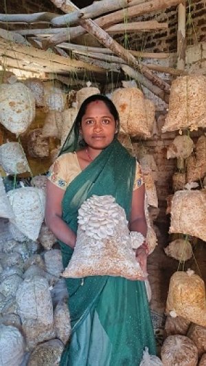 मुख्यमंत्री के सुशासन से सशक्त हुई महिलाएं : मजदूरी से मशरूम उत्पादन और अब स्वयं की दुकान से &lsquo;लखपति दीदी&rsquo; बनीं बृहस्पति धुर्वे