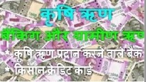 आजीविका मूलक गतिविधियों को प्रोत्साहित करने के लिए अधिक से अधिक ऋण प्रदान करें बैंकर्स - कलेक्टर