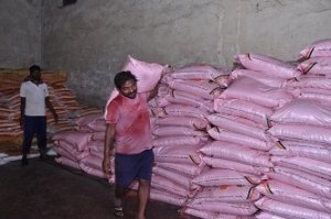 जिले में खाद-बीज की पर्याप्त उपलब्धता, किसानों को नहीं होगी किसी प्रकार की परेशानी ,  अब तक 17,205 मीट्रिक टन उर्वरक का वितरण, सहकारी समितियों में 7,236 क्विंटल बीज उपलब्ध