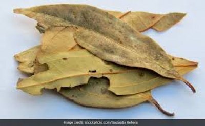 खाली पेट पीना शुरू कर दें रसोई में रखे इस मसाले का पानी, डायबिटीज से लेकर डाइजेशन तक में मिलेंगे फायदे ही फायदे