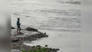 यमुना नदी में नहीं है पानी, फिर कैसे बुझेगी दिल्&zwj;ली की प्&zwj;यास