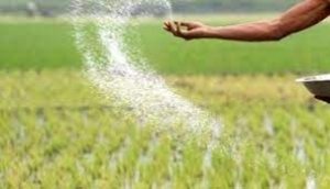 ग्रीष्मकालीन धान के बदले दलहन, तिलहन, मक्का, गन्ना फसल लेने किसानों को करें प्रोत्साहित - कलेक्टर