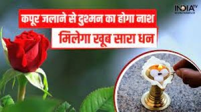 कपूर और गुलाब के फूल का महा उपाय, माना जाता है घर में बनी रहेगी बरकत