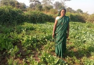 महतारी वंदन योजना से रोहनी का संघर्ष भरा कदम बढ़ा स्वावलंबन की ओर