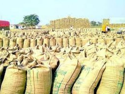 कोचियों व बिचौलियों द्वारा चिल्हर रूप से धान खरीदी की अनियमितता को रोकने हेतु दल गठित करने के निर्देश