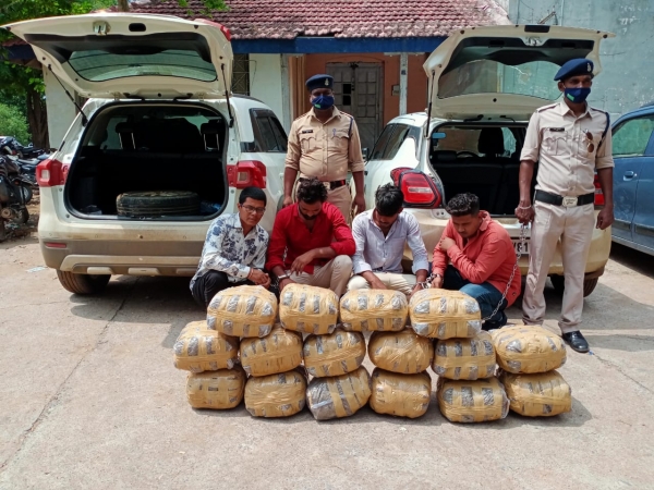 कोतवाली पुलिस की कार्यवाही , १९ लाख के ८० किलो गांजे के साथ ४ आरोपी गिरफ्तार