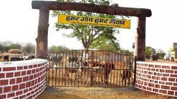 विशेष लेख : आजीविका सृजन एवं जीवनयापन का सशक्त माध्यम बन रहे हैं गौठान