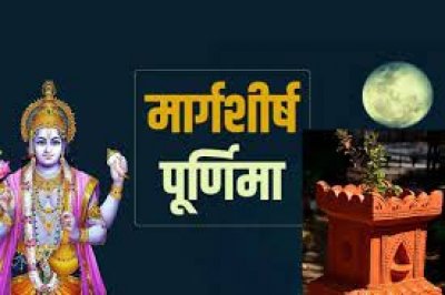 मार्गशीर्ष पूर्णिमा पर तुलसी को कुछ चीजें अर्पित करनी मानी जाती हैं शुभ, मान्यतानुसार घर आती है खुशहाली