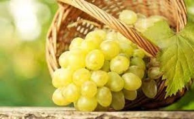 अंगूर इन लोगों को नहीं खाना चाहिए, सेहत के लिए नुकसानदेह