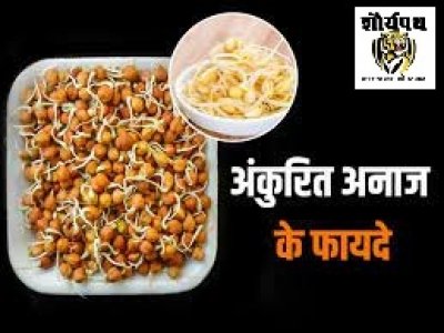 अंकुरित चने रोज खाना कर दीजिए शुरू, तेजी से वजन हो जाएगा कम