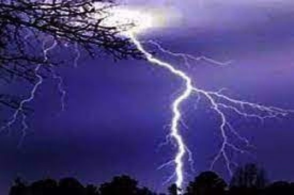 मुख्यमंत्री ने आकाशीय बिजली गिरने की अलग-अलग घटनाओं में तीन लोगों की मृत्यु पर गहरा दुःख व्यक्त किया