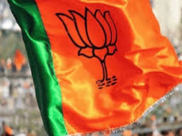 भारतीय जनता पार्टी महिला मोर्चा मंडल पदाधिकारियों की सूची जारी:-