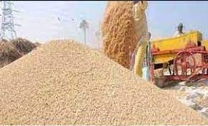 धान उपार्जन केन्द्र केदुवा समिति के अध्यक्ष  पटेल द्वारा 14 दिसम्बर से किसानों के लिए कर रहे हैं भोजन की व्यवस्था