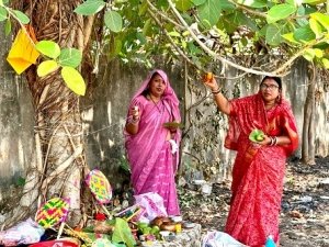 वट सावित्री व्रत पर आस्था का अनुपम संगम ,सुहागिन महिलाओं ने बरगद वृक्ष की पूजा कर मांगा अखंड सौभाग्य और परिवार की सुख-समृद्धि का आशीर्वाद