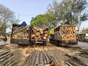 अवैध काष्ठ परिवहन पर बड़ी कार्रवाई, चार वाहन जब्त