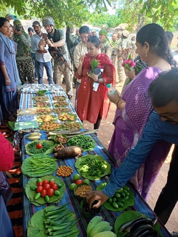 जिले एवं छत्तीसगढ़ की अंतिम छोर ग्राम नेलांगुर पहुंची कलेक्टर ममगाईं