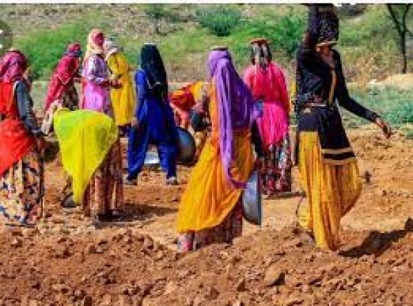 मनरेगा के तहत जॉबकार्ड धारी श्रमिको को रोजगार उपलब्ध कराने के दिये निर्देश