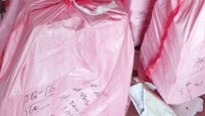 NCERT की नकली किताबें बेचने वाले रैकेट का भंडाफोड़, 2.4 करोड़ रुपये की 1.7 लाख से अधिक किताबें जब्त