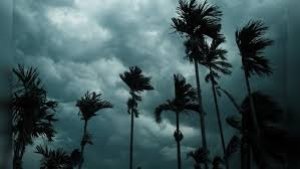 भीषण गर्मी से निजात दिलाने आ गया मॉनसून, केरल में दो दिन पहले ही दी दस्तक, देखें पहली तस्वीर