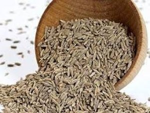 आपके किचन में रखा ये मसाला कर सकता है हाई यूरिक एसिड और डायबिटीज को कंट्रोल, जानिए सेवन करने का सही तरीका
